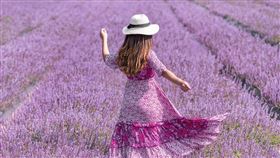 ▲網美控們快拿起手機拍好拍滿（圖／桃園市政府提供）