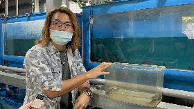 攀鱸金門現蹤跡（3）