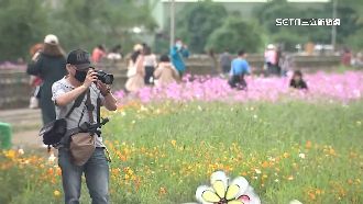 週末好天氣！下週鋒面通過轉雨時間曝