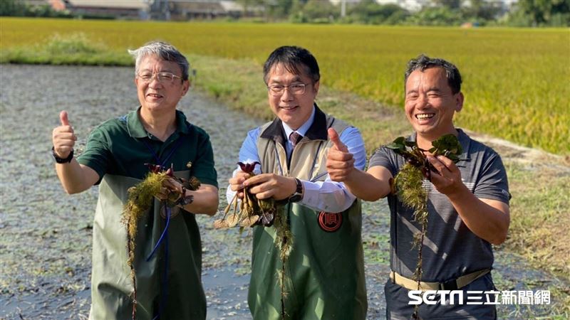 全聯力拚成全台最大平價有機店