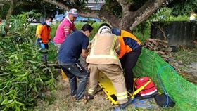 意外,鋁梯,摔落,不治