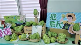 ▲農委會今天宣布啟動外銷、內銷和加工方案，其中外銷部分，將銷往美國、日本、新加坡和中東等國家或地區。（圖／農委會提供）