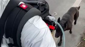 環島,歐告,收編,徒步（圖／翻攝自臉書《爆廢公社》）