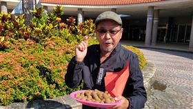 水官大帝,虎年,消災,解厄,補財