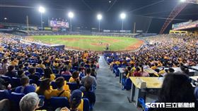洲際棒球場球迷。（圖／記者王怡翔攝影）