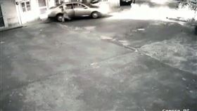 車禍,美濃,倒退檔,油門