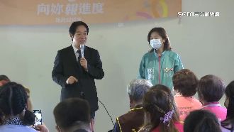 綠營巷弄戰倡公投　拼投票前百場開講