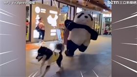 （圖／AP／Viralpress 授權）