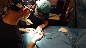 記者鍾志鵬攝影