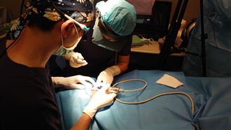 獨家／植髮手術首曝光　7小時後變了