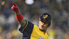 ▲中信兄弟林智勝擊出生涯第289發全壘打，追平張泰山的台灣紀錄。（圖／中信兄弟球團提供）