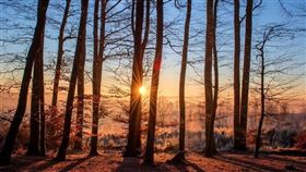 翻攝自pixabay+時報出版提供＋司徒長卿提供