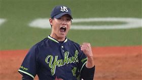 ▲養樂多左投高橋奎二。（圖／取自養樂多燕子FB）