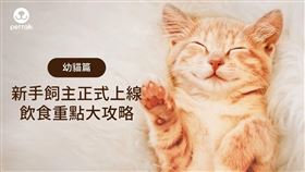 圖、文／PetTalk：說寵物獸醫師／祐康動物醫院—陳郁晴