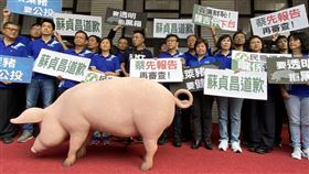 藍委　立法院　抗議　美豬　（李國綸攝）
