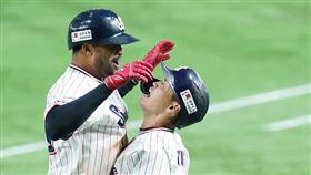 ▲養樂多Domingo Santana。（圖／取自養樂多球團FB）