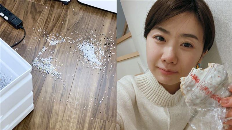 大S爆離婚　福原愛曝垃圾照洩端倪