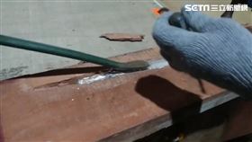  海洛因,走私,販毒,新北,新北市刑大，