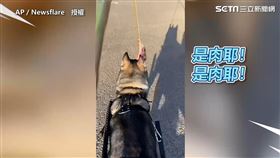 ▲▼。（圖／AP／Caters TV 授權）