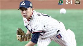 ▲養樂多左投石川雅規。（圖／取自養樂多燕子FB）