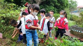 新北推動沉浸式原民族語教學（1）新北市原民局與教育局合作推動沉浸式原民族語教學，烏來國中小附幼的「烏來泰雅秋耕冬種」課程，即是讓孩子們在耕作、除草中同時認識植物、學習族語。（新北市教育局提供）中央社記者黃旭昇新北市傳真  110年11月24日