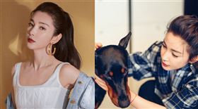 李冰冰。（圖／翻攝自微博）