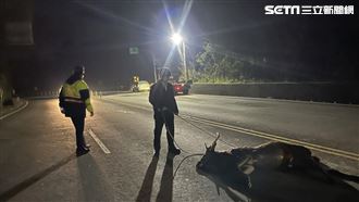 一團黑影從山壁衝出　高雄男嚇瘋見屍