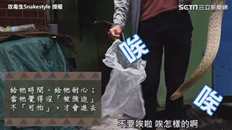 男大生徒手抓蛇　破解迷思：蛇不恐怖