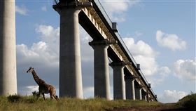 中國一帶一路,肯亞Standard Gauge Railway 圖／路透社／達志影像
