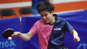 全運會桌球女單　鄭怡靜摘金（3）110年全國運動會18日在板橋體育館舉行桌球女子組單打決賽賽程，「桌球一姐」鄭怡靜成功為台北市隊再奪一面金牌。中央社記者徐肇昌攝　110年9月18日