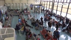 文 新變種哪國1800