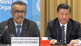 譚德塞,習近平 ( 圖/翻攝自WHO推特、資料照)