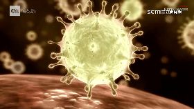 文 魔王株毒輕1200