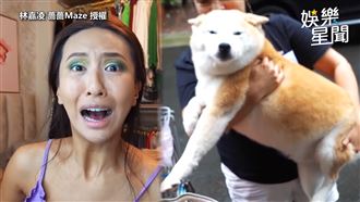 薔薔遇地震嚇尖叫　愛犬奪門而出