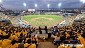 ▲台灣大賽G1洲際棒球場中信兄弟球迷一片黃海。（圖／記者劉彥池攝影）