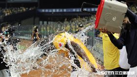 ▲台灣大賽G1中信兄弟2：0擊敗統一獅，羅傑斯潑先發投手德保拉水。（圖／記者劉彥池攝影）