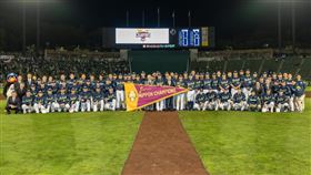 ▲養樂多暌違20年拿下日本一。（圖／翻攝自養樂多燕子推特）