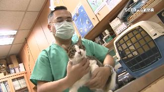 寵物用人藥草案卡關　獸醫、飼主請命