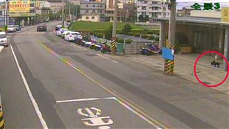 「誰偷我安全帽」　失主調監視器笑翻