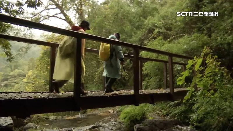 巨木步道遊客亂象多　部落怒：要封路