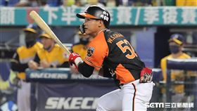 ▲台灣大賽G2統一獅外野手張偉聖。（圖／記者劉彥池攝影）
