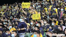 ▲台灣大賽G2中信兄弟球迷高舉「我挺你兄弟」標語。（圖／記者劉彥池攝影）