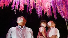 ▲今年屏東聖誕節以粉紅色為基調（圖／屏東縣政府提供）