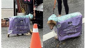 寵物犬茶葉蛋、好市多衛生紙