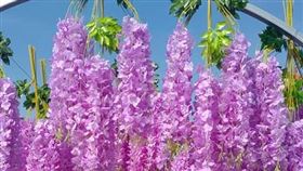 彰化天空步道紫藤花盛開　竟是塑膠ㄟ（圖／翻攝自彰化八卦山天空步道粉專）