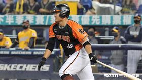 ▲台灣大賽G2，統一獅一壘手高國慶。（圖／記者劉彥池攝影）