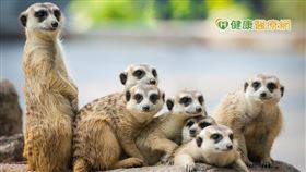 面對因環境、氣候所造成的眼睛不適，正常規律作息、減少使用3C產品外，更重要的是正確治療方式，任何的眼睛不適，除了儘速就醫外，平時的眼睛保養也是非常重要，選擇含鎖水因子的人工淚液，養成固定使用頻率，就是保護眼睛的好方法之一。