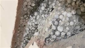 他裝潢驚牆裡藏密集白球！行家：很貴（圖／翻攝自裝潢DIY研究室臉書）