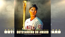 ▲大谷翔平奪年度傑出指定打擊獎。（圖／翻攝自MLB推特）