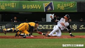 台灣大賽G3蘇智傑本壘攻防戰。（圖／記者王怡翔攝影）